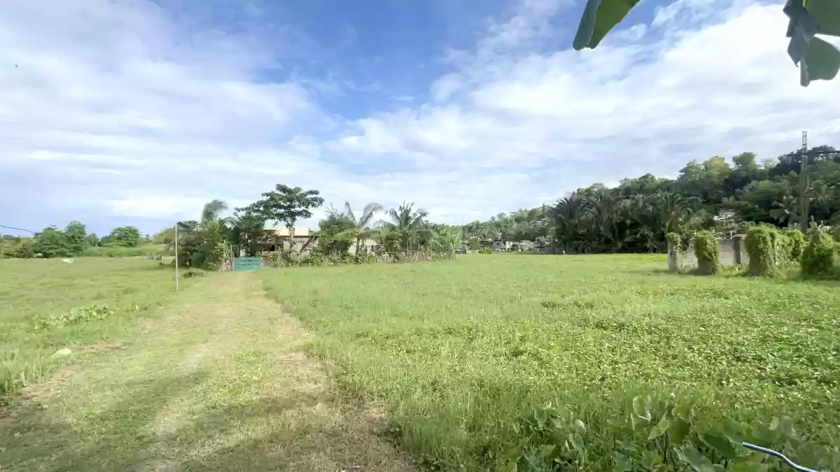 Lot for Sale — Agricultural Lot in Danao City, Cebu, Philippines — Photo 2