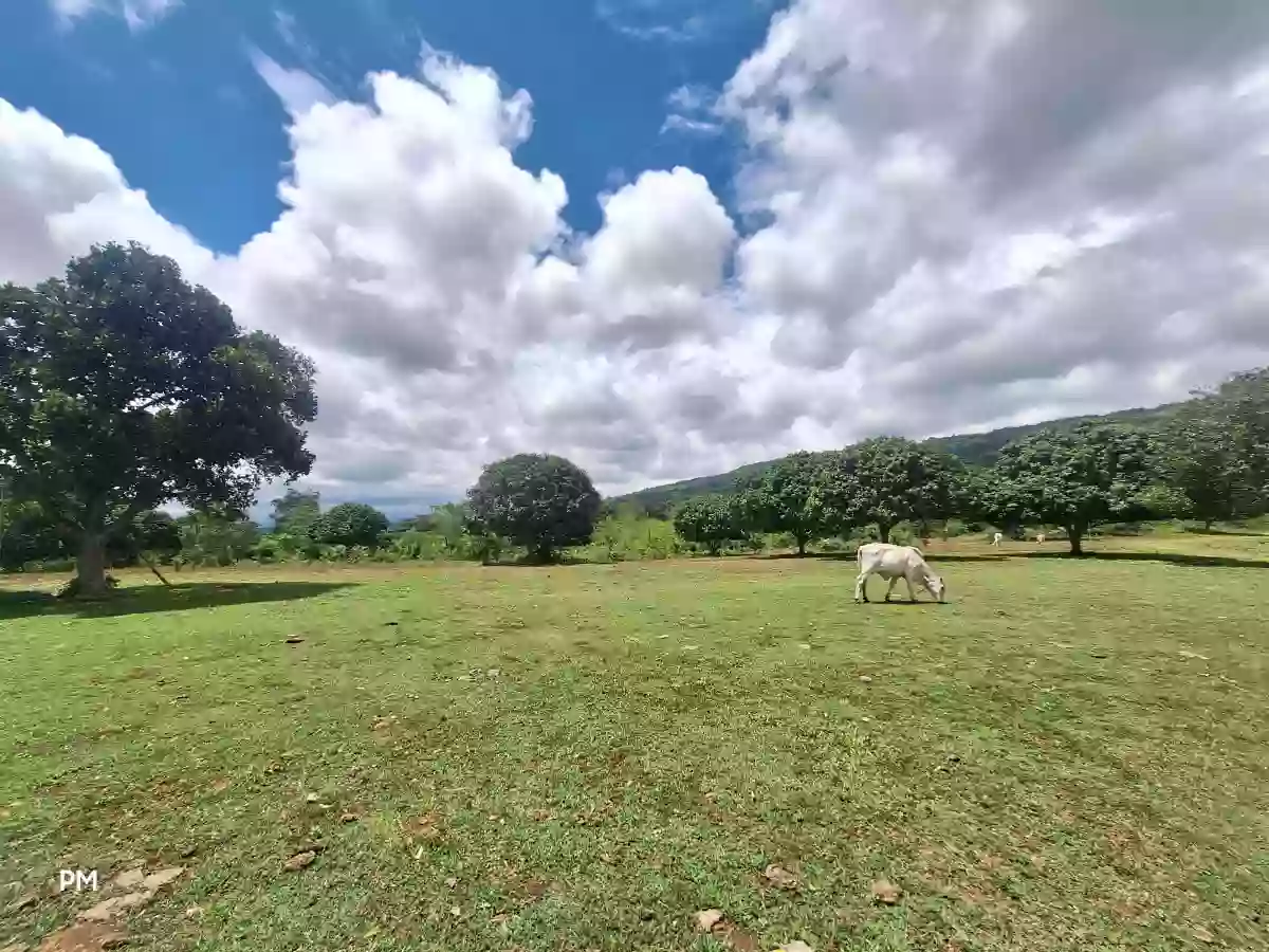 4.3Has at Genwral Santos City — Agricultural Lot in South Cotabato, Philippines — Photo 6