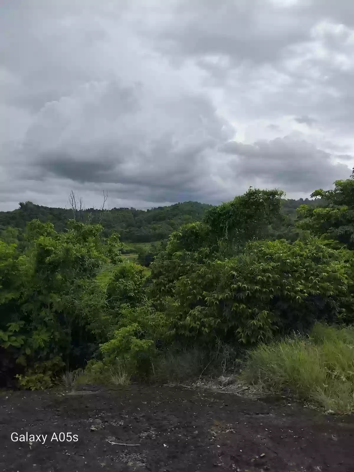 Land For Sale — Agricultural Lot in Guimaras, Philippines — Photo 3