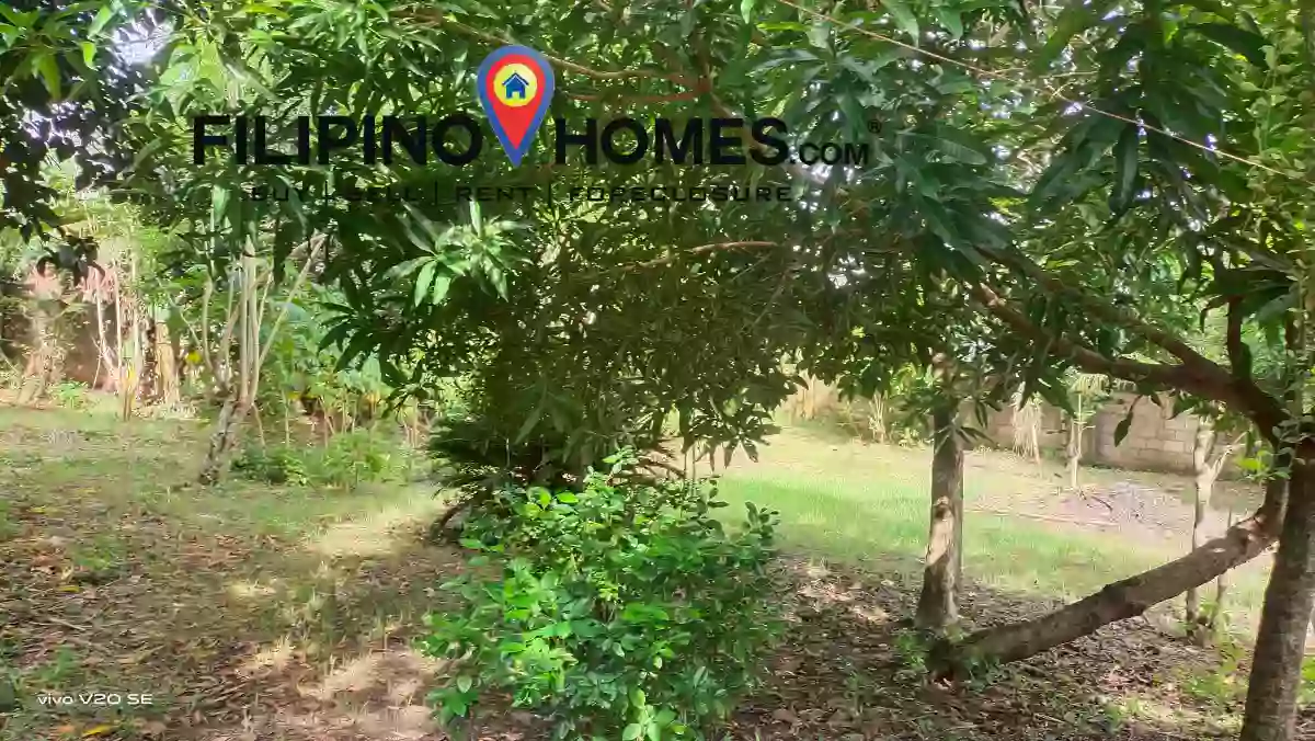 Big Lot for Sale — Residential Lot in Camarines Sur, Philippines — Photo 6