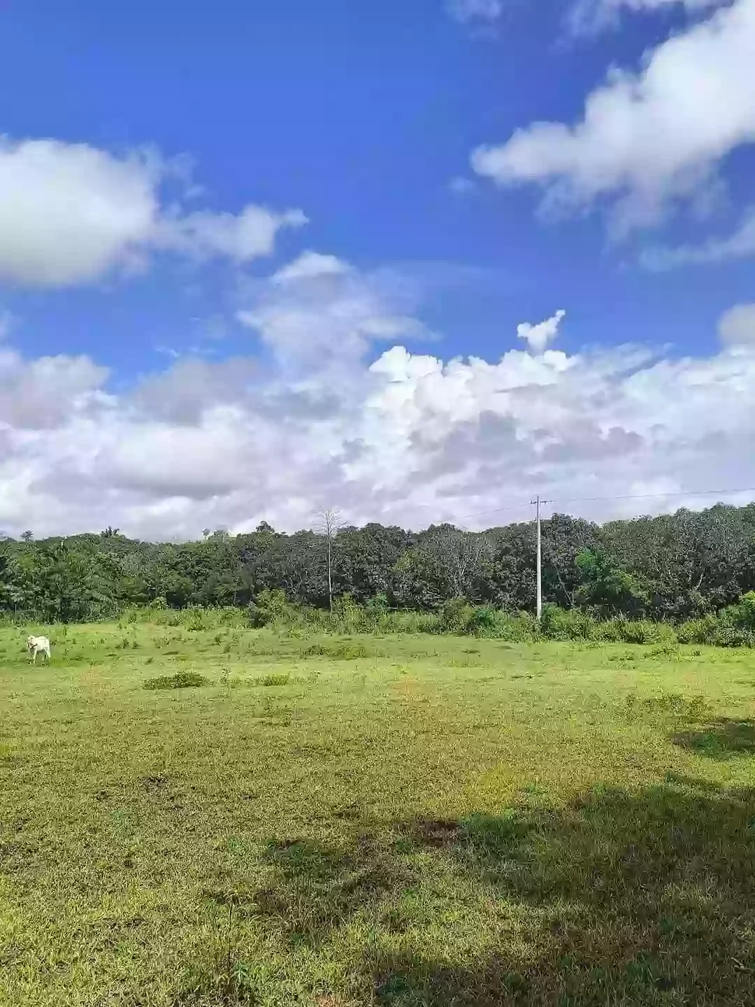 T-9965 — Agricultural Lot in Sarangani, Philippines — Photo 4