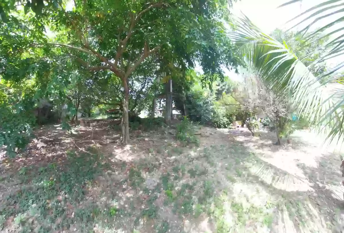 Prime Commercial Lot in Basak Lapu Lapu City — Commercial Lot in Lapu-Lapu City, Cebu, Philippines — Photo 2