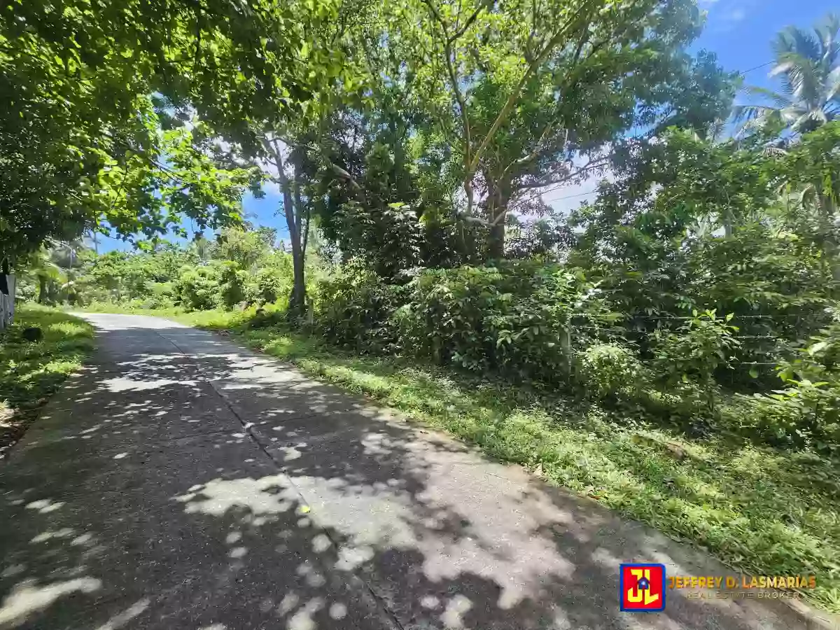 Rush Sale! 506sqm Lot in Mampas, Valencia! [available] — Residential Lot in Valencia, Negros Oriental, Philippines — Photo 3