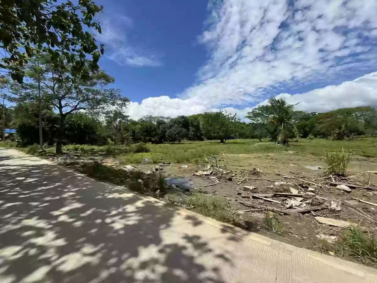 8,875 sqm AGRICULTURAL Lot for sale in COTCOT, LILOAN [TITLED] — Agricultural Lot in Liloan, Cebu, Philippines — Photo 4
