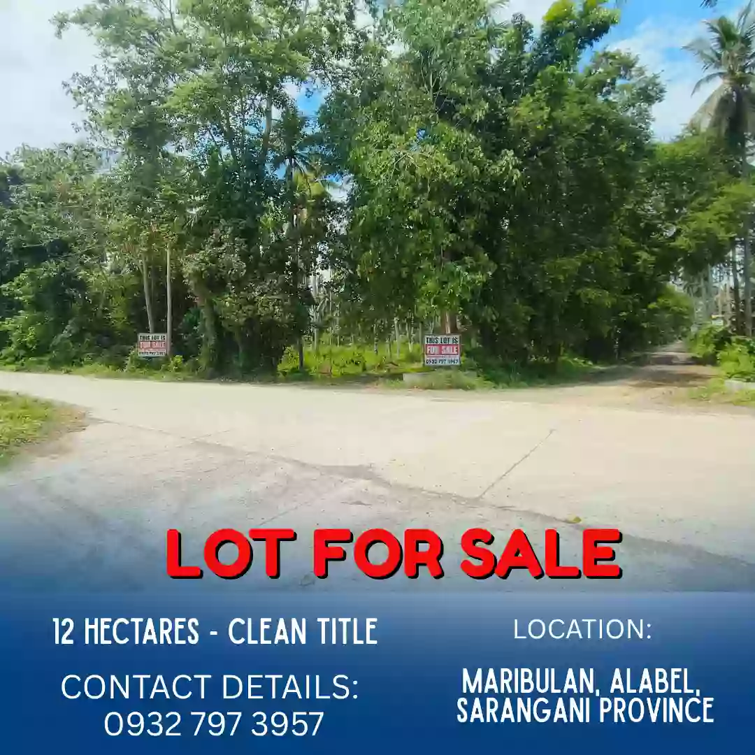 ALABEL LOT FOR SALE (12 HECTARES) — Residential Lot in Alabel, Sarangani, Philippines — Photo 4