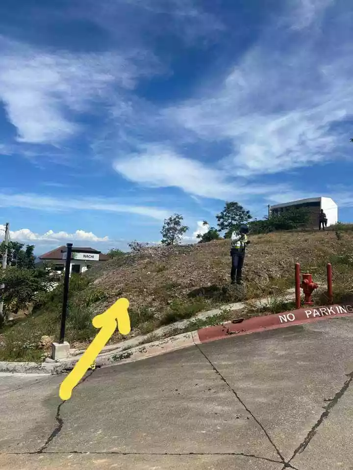 Lot For Sale — Residential Lot in Philippines — Photo 3