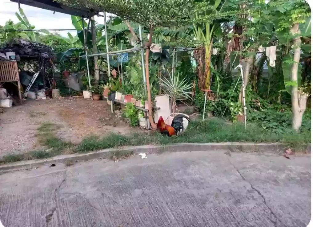 Lot for Sale 101 Sqm Global  Raphael Homes Subdivision, Biasong, Talisay, Cebu — Residential Lot in Central Biasong, Talisay, Cebu — Photo 5