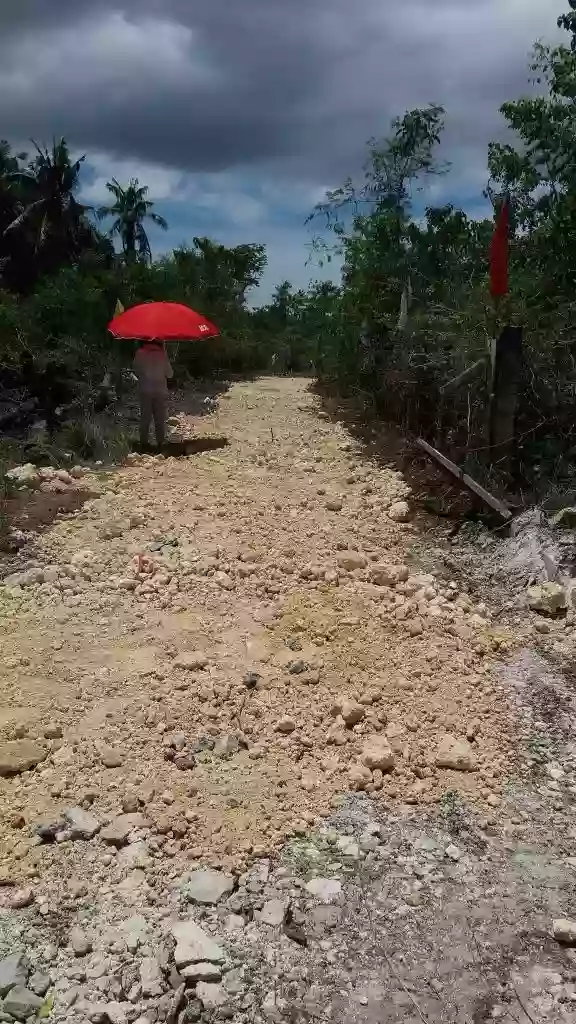 Lot For Sale in Panglao, Bohol — Agricultural Lot in Panglao, Bohol, Philippines — Photo 3