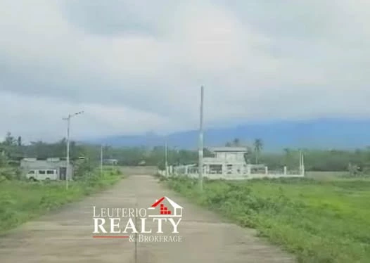 0862025001789 — Agricultural Lot in Naga City, Camarines Sur, Philippines — Photo 4