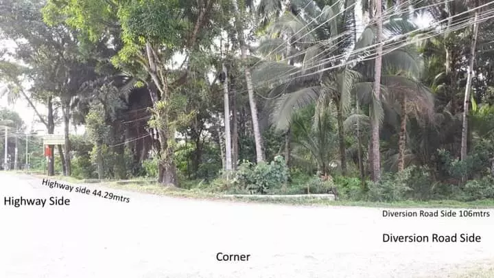 COMMERCIAL LOT FOR SALE — Commercial Lot in Agusan Del Norte, Philippines — Photo 5