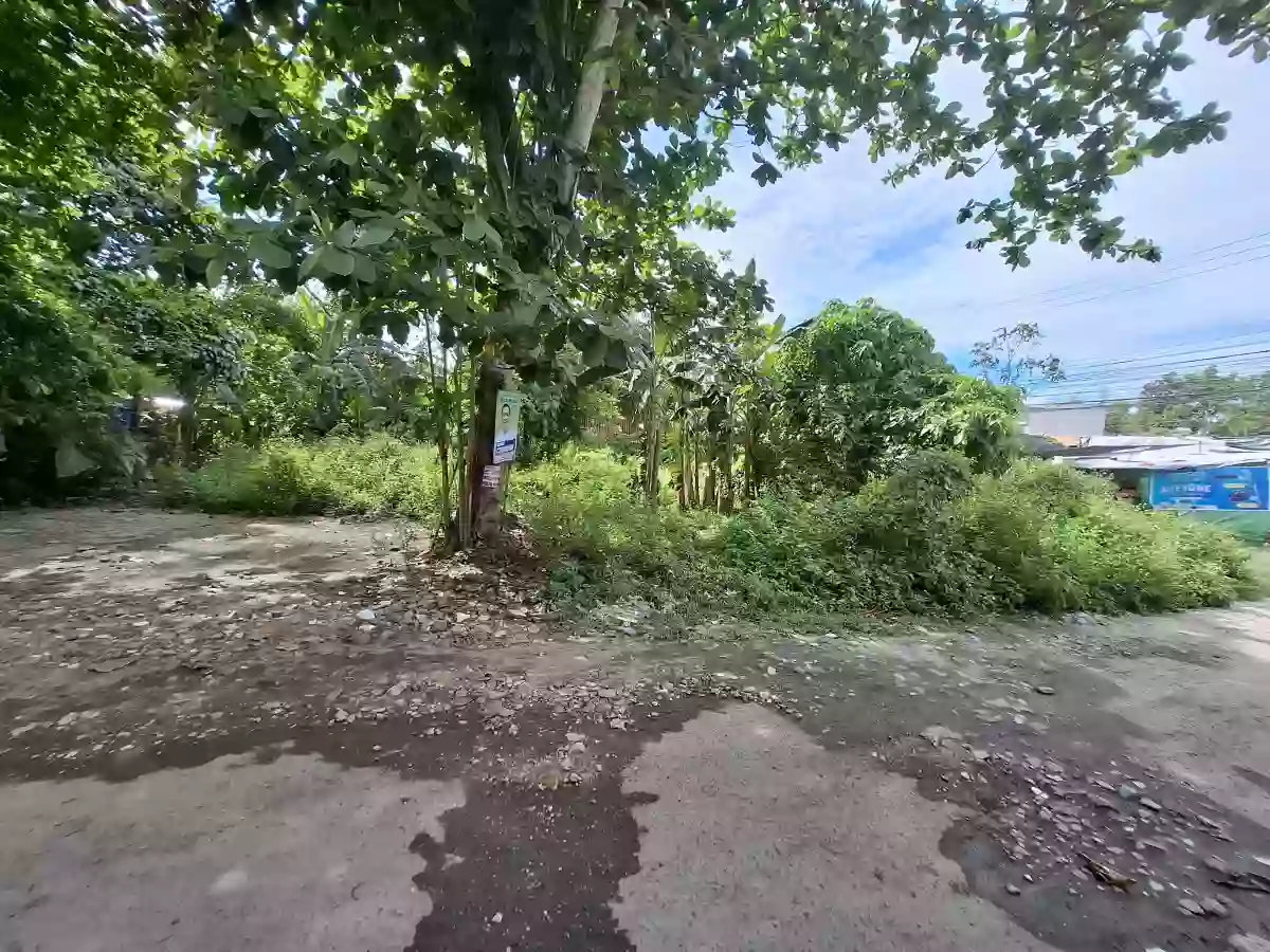 Commercial Lot for Sale Near North Gen.