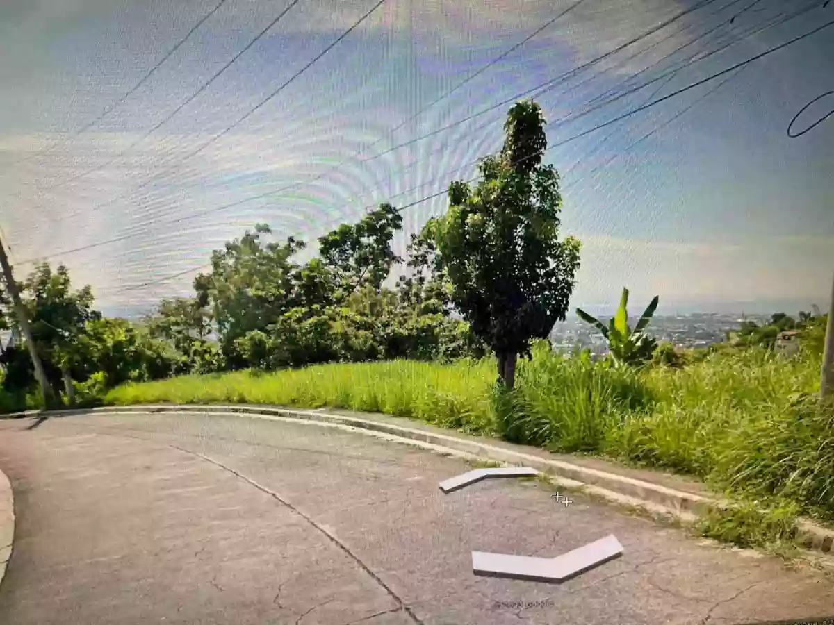 Pacific Heights Subdivision — Residential Lot in Talisay, Cebu, Philippines — Photo 2