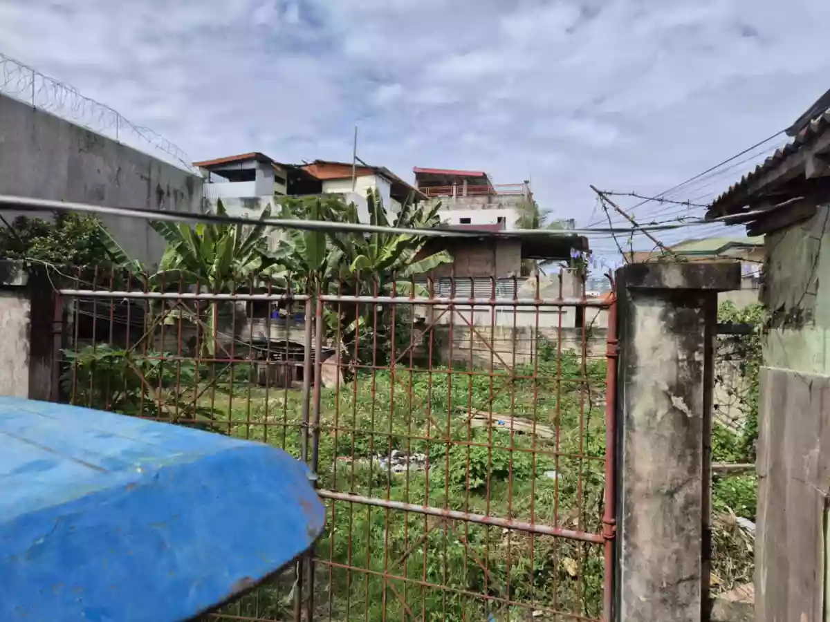 Your Future Space Starts Here - Vacant Lot For Sale — Residential Lot in Cebu, Philippines — Photo 2
