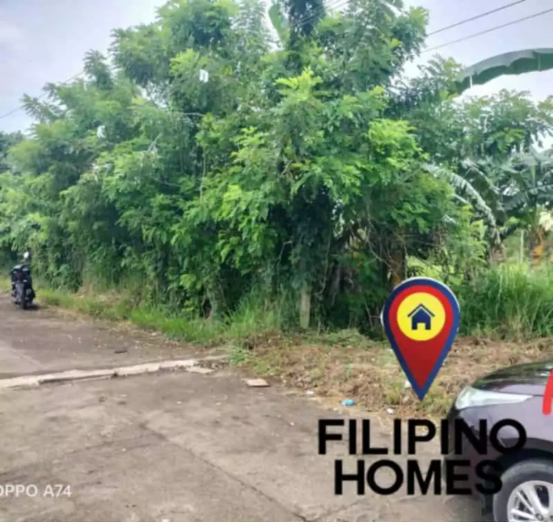 AGRI-FARM LOT FOR SALE — Agricultural Lot in Naga City, Camarines Sur, Philippines — Photo 2