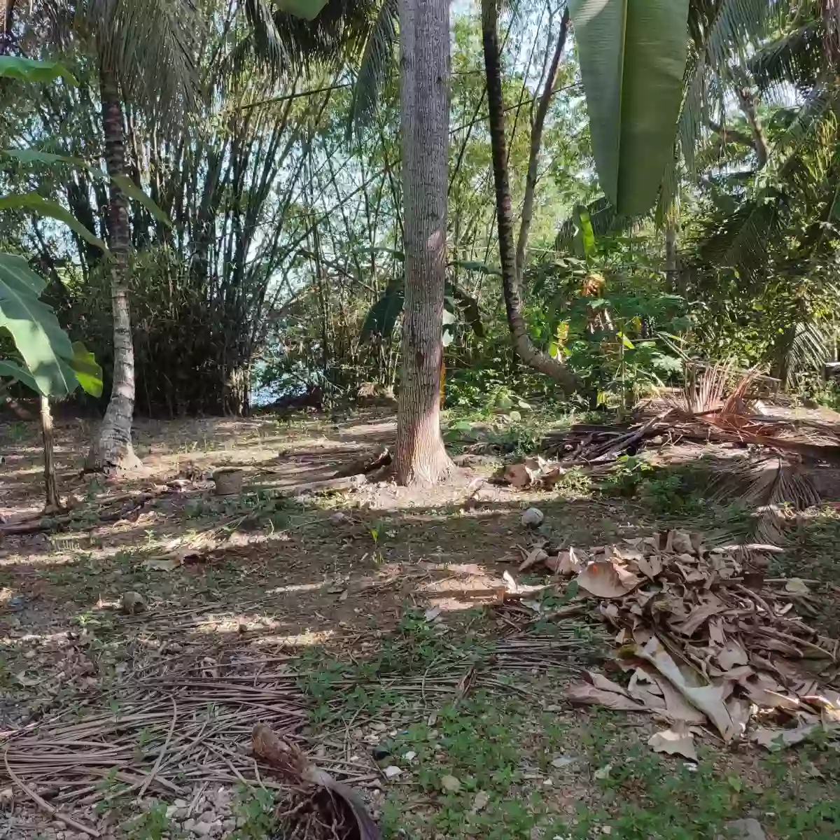 RESIDENTIAL LOT WITH BEACH FRONT — Residential Lot in San Remigio, Cebu, Philippines — Photo 4