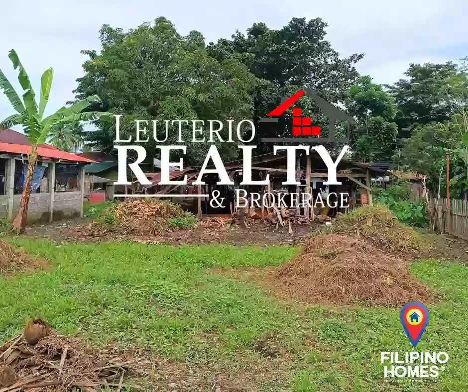 Residential Lot For Sale in Gumaca Quezon Near LTO along Cemented Road — Residential Lot in Gumaca, Quezon, Philippines — Photo 4