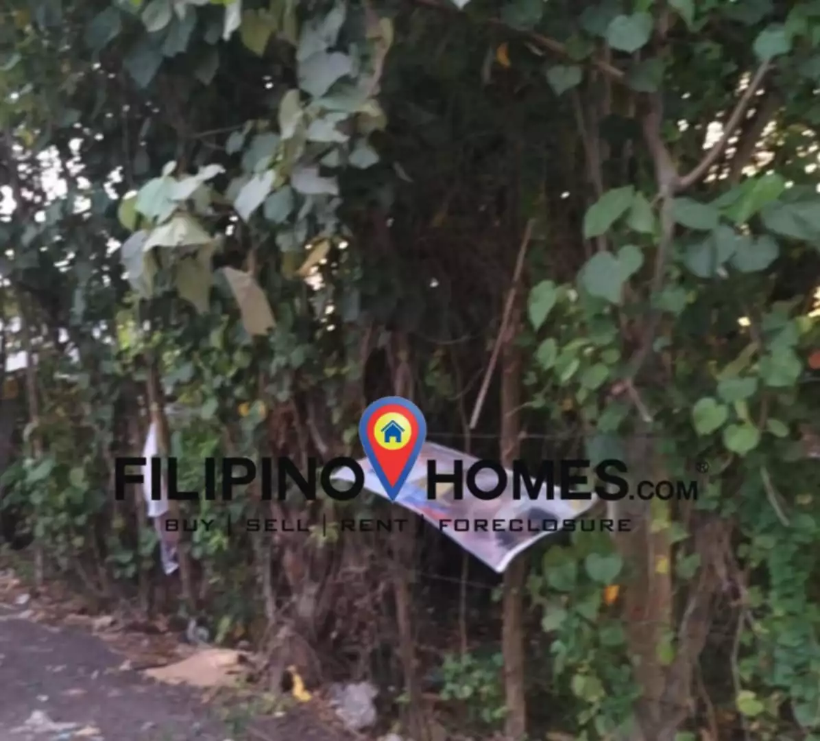 Industrial Lot For Sale !! — Industrial Lot in Pili, Camarines Sur, Philippines — Photo 5