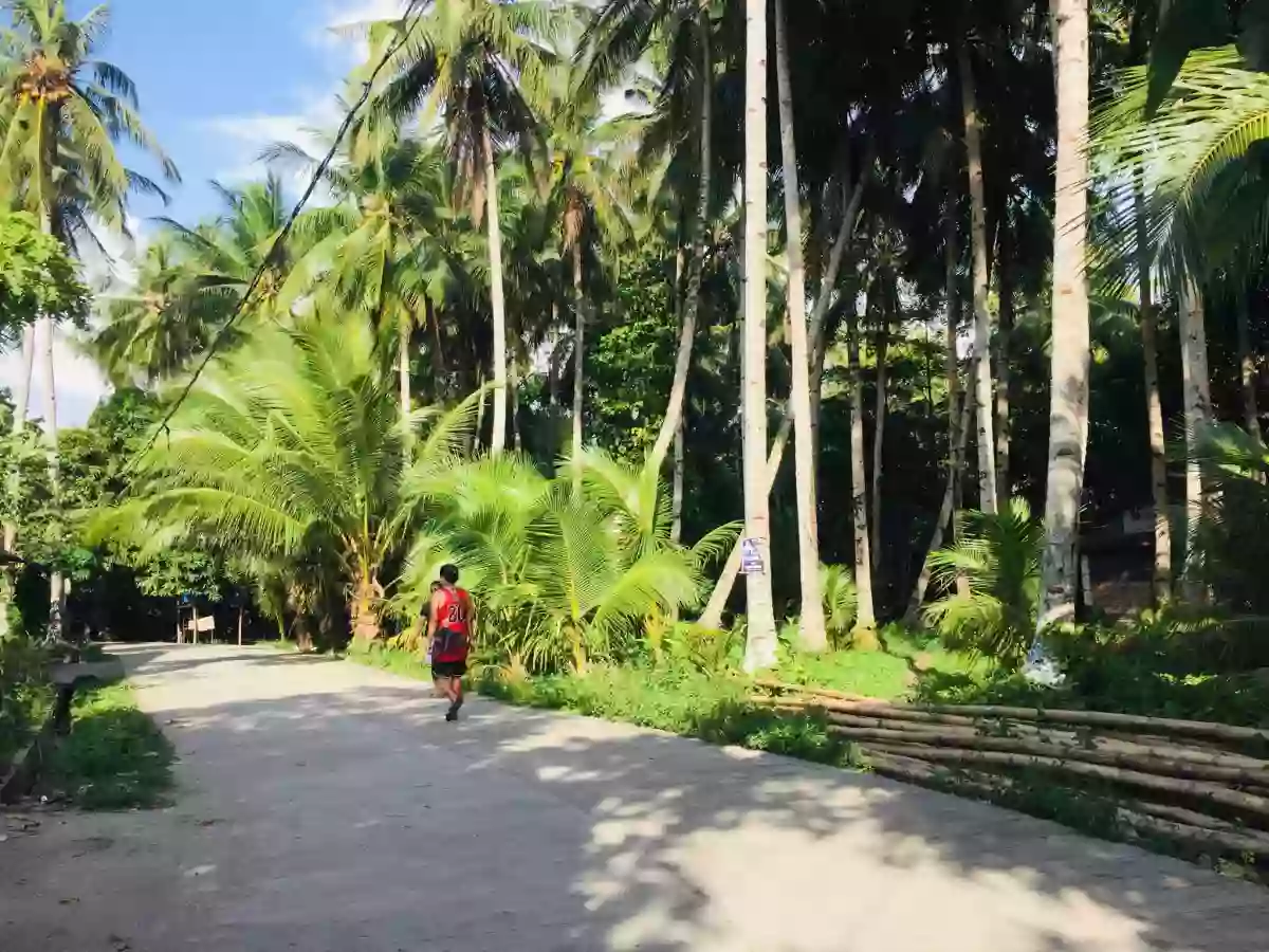 Land For Sale (Pontevedra) — Commercial Lot in Bacolod, Negros Occidental, Philippines — Photo 3