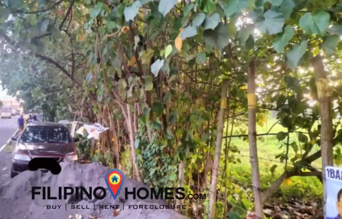 Industrial Lot For Sale !! — Industrial Lot in Pili, Camarines Sur, Philippines — Photo 2