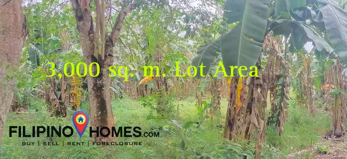 Agricultural Lot for Sale!!