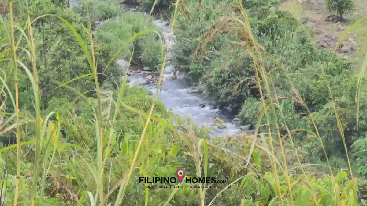 Open photo 13 of 18 — 2.2 Hectares Farm Lot with 360° View in Basak, Lantapan, Bukidnon