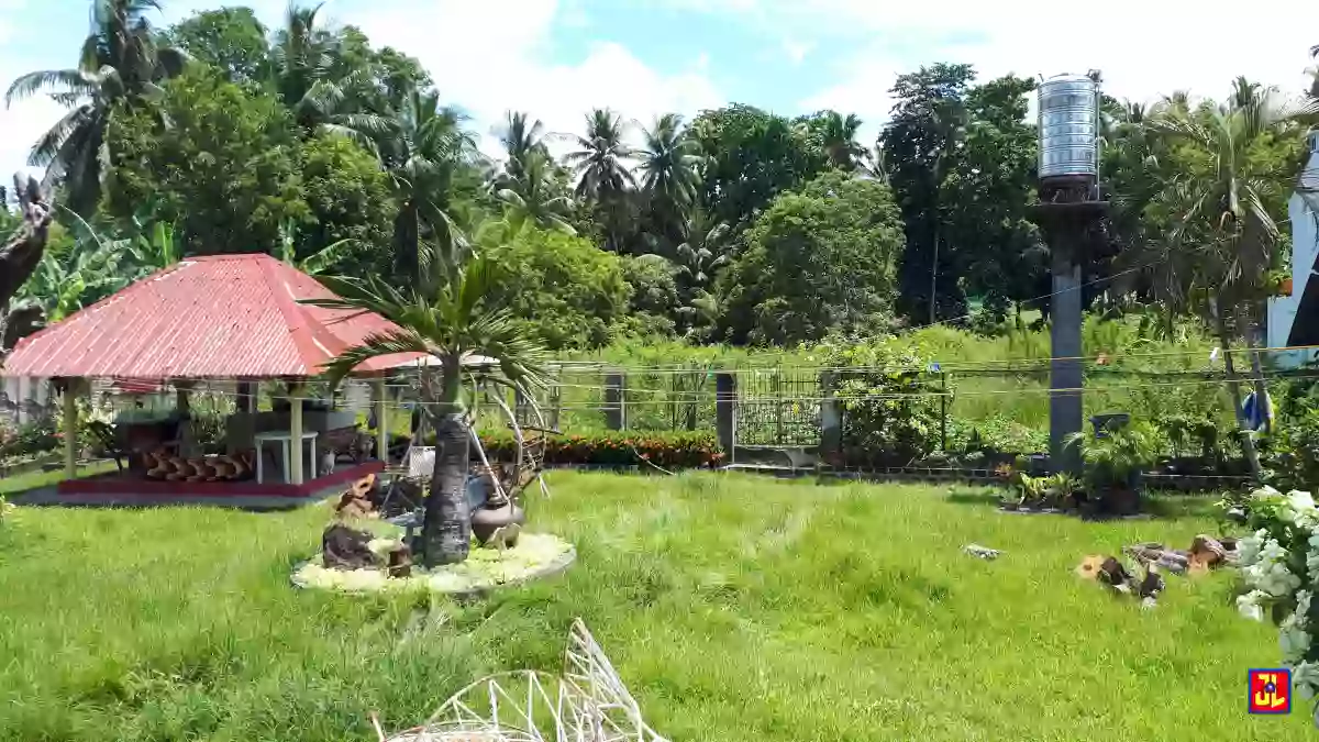 Rush Sale Commercial Property in Tanjay City [available] — Commercial Lot in Negros Oriental, Philippines — Photo 3