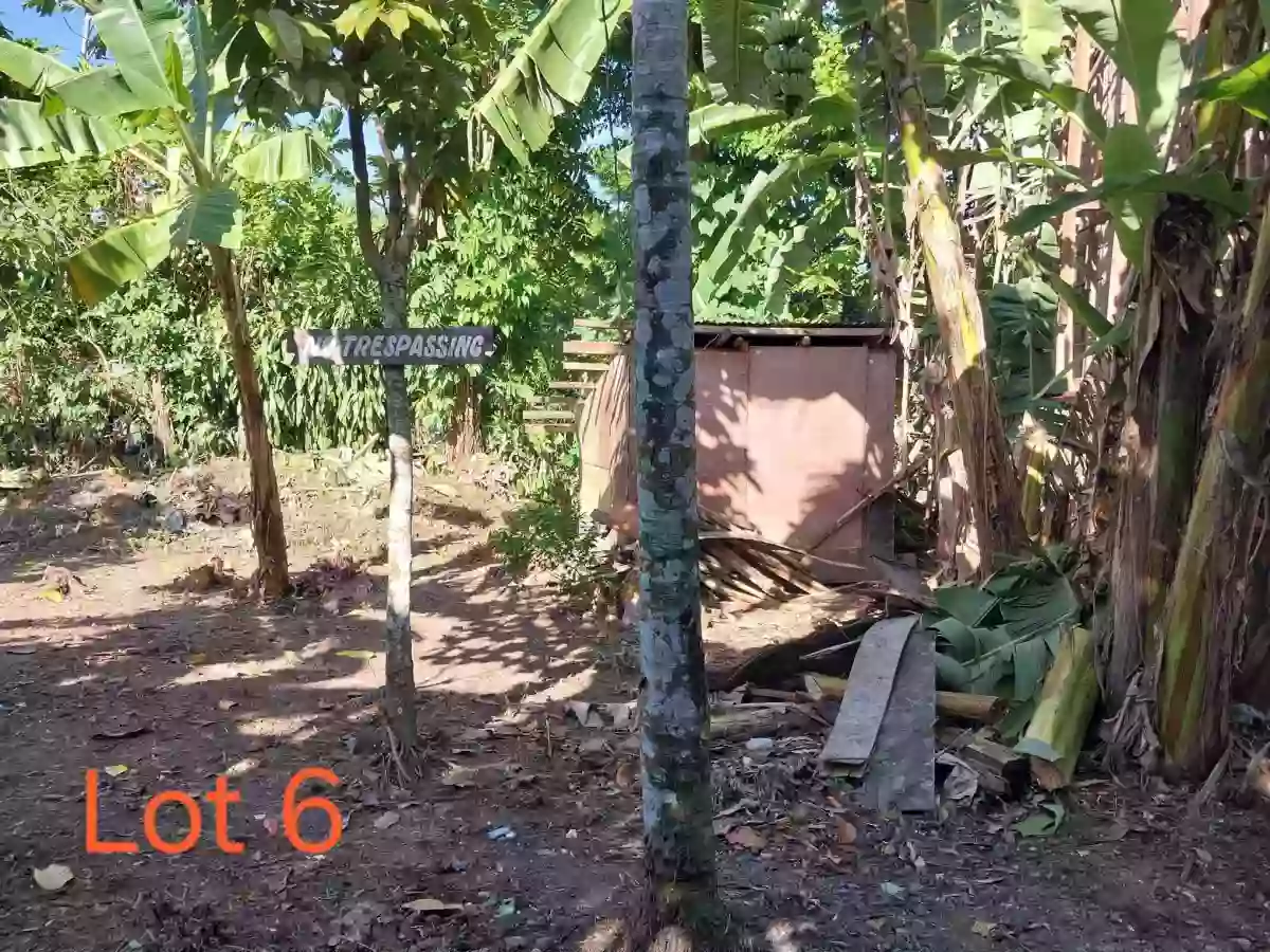 Residential Lot for Sale in Doña Josefa Pawa Tabaco Albay — Residential Lot in Tabaco City, Albay, Philippines — Photo 2
