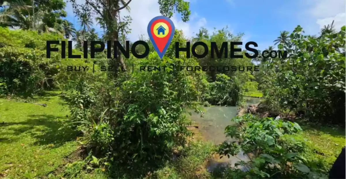 Lot for Sale with  300 meters of road frontage along the national road — Agricultural Lot in Albay, Philippines — Photo 4