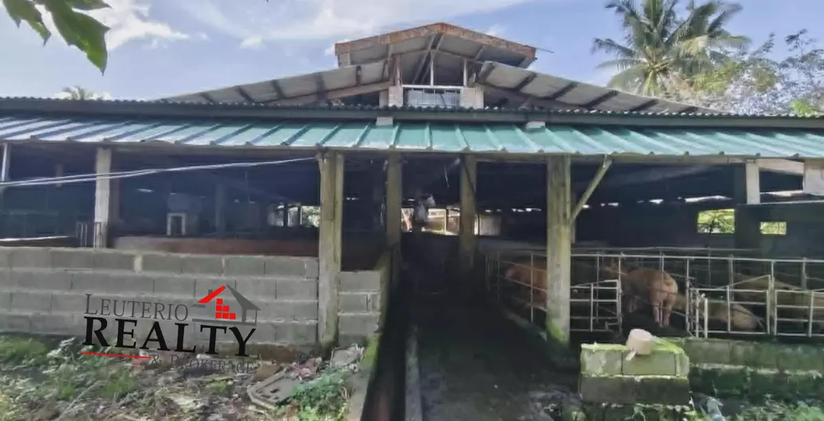 3470 SQM FARM LOT WITH LIVESTOCK CONSTRUCTION
