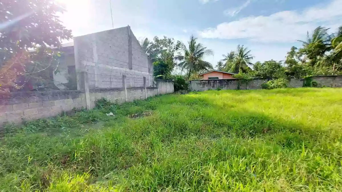 Lot for sale in Dumlog Talisay City — Residential Lot in Talisay, Cebu, Philippines — Photo 2