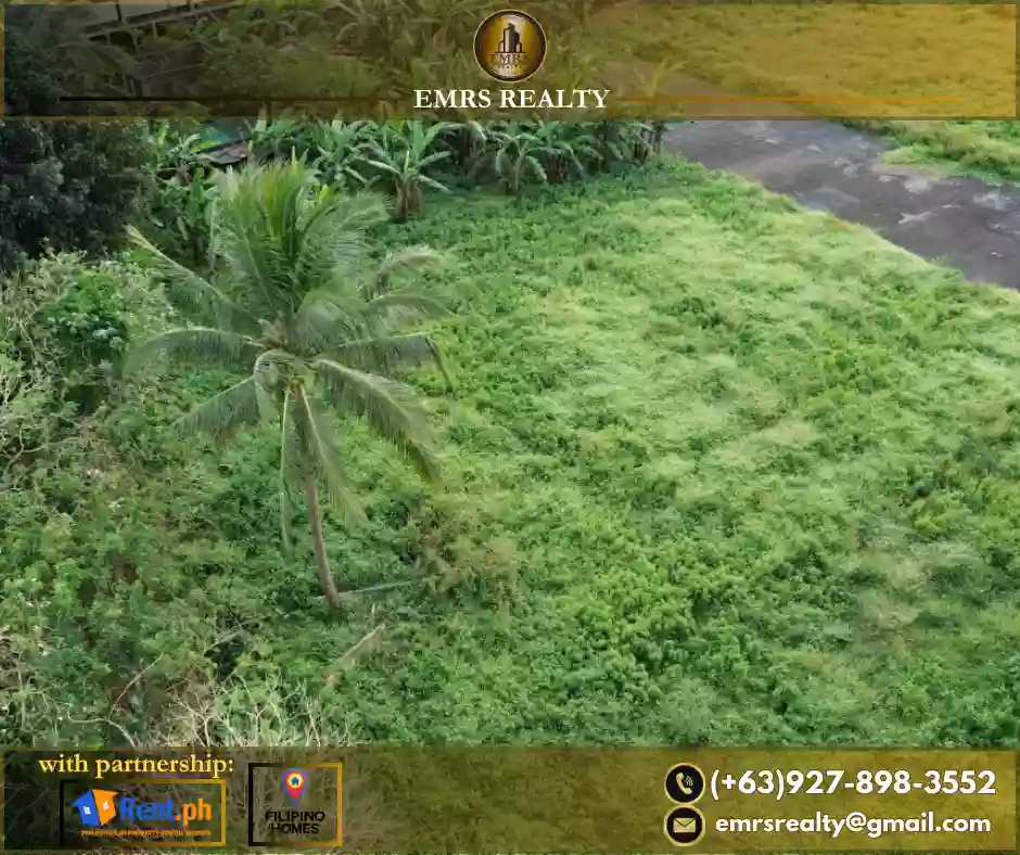 FOR SALE! 1 HECTARE FLAT FARM LOT IN AMADEO, CAVITE near Tagaytay — Agricultural Lot in Amadeo-Indang Road, Amadeo, Cavite — Photo 4
