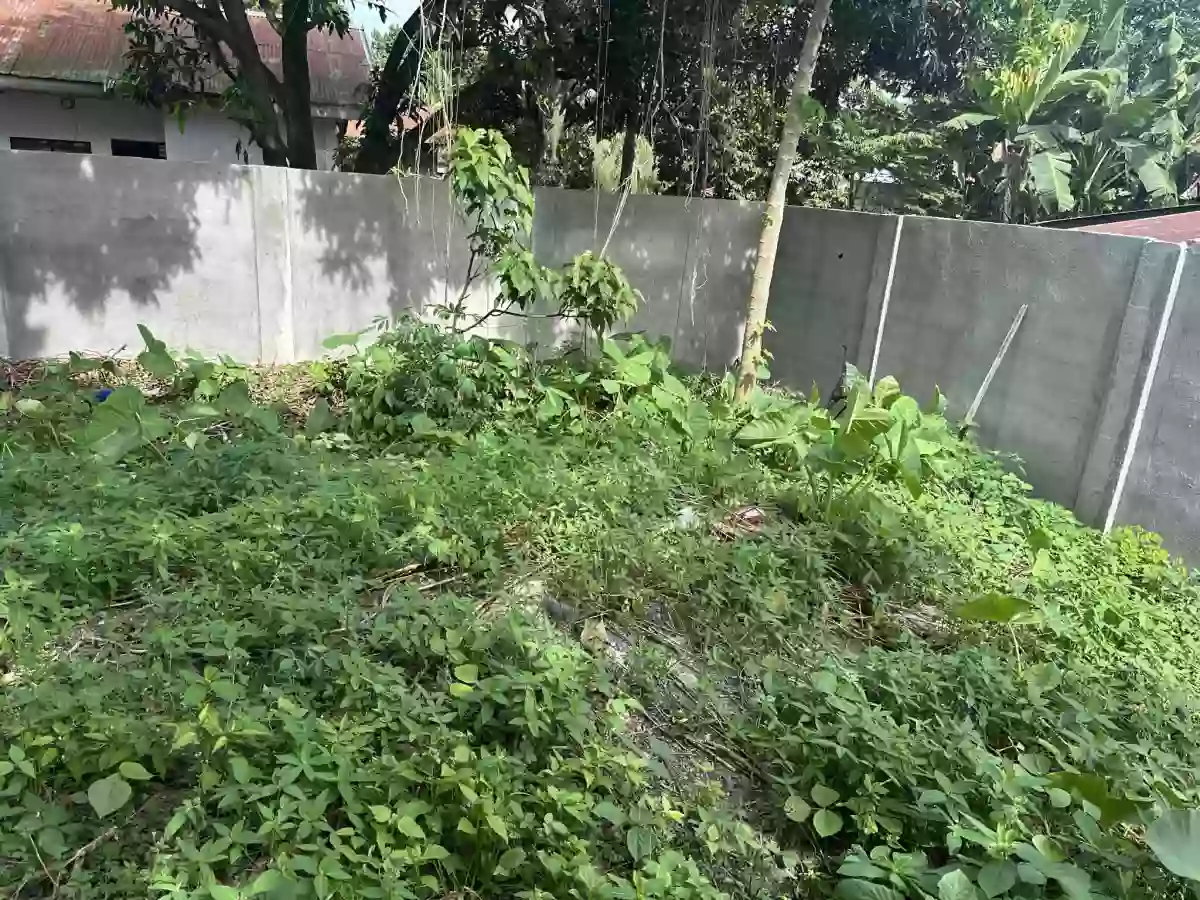 Residential Lot FOR SALE in  Poblacion Polomolok — Residential Lot in Polomolok, South Cotabato, Philippines — Photo 6