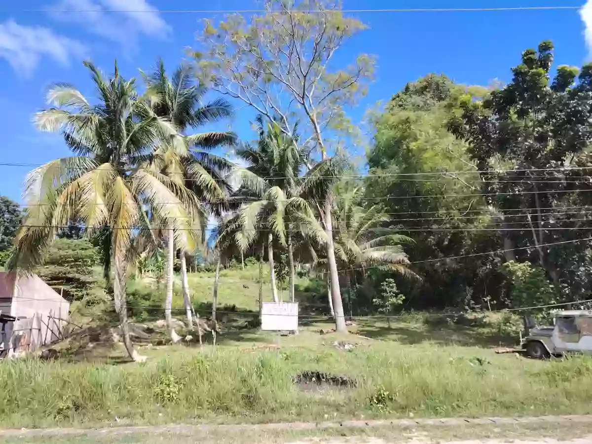 Lot for Sale in Baclayon, Bohol — Agricultural Lot in Baclayon, Bohol, Philippines — Photo 5