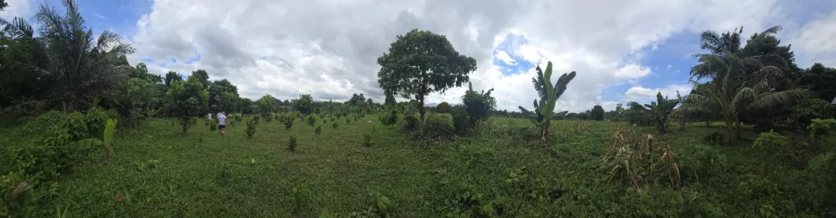 ORMOC FARM LOT FOR SALE — Agricultural Lot in Ormoc City, Leyte, Philippines — Photo 3