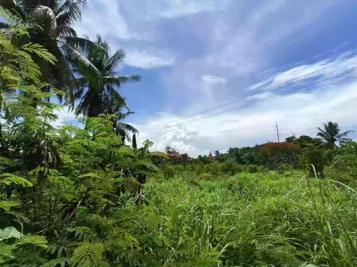 Titled Lot FOR SALE — Residential Lot in Danao City, Cebu, Philippines — Photo 5