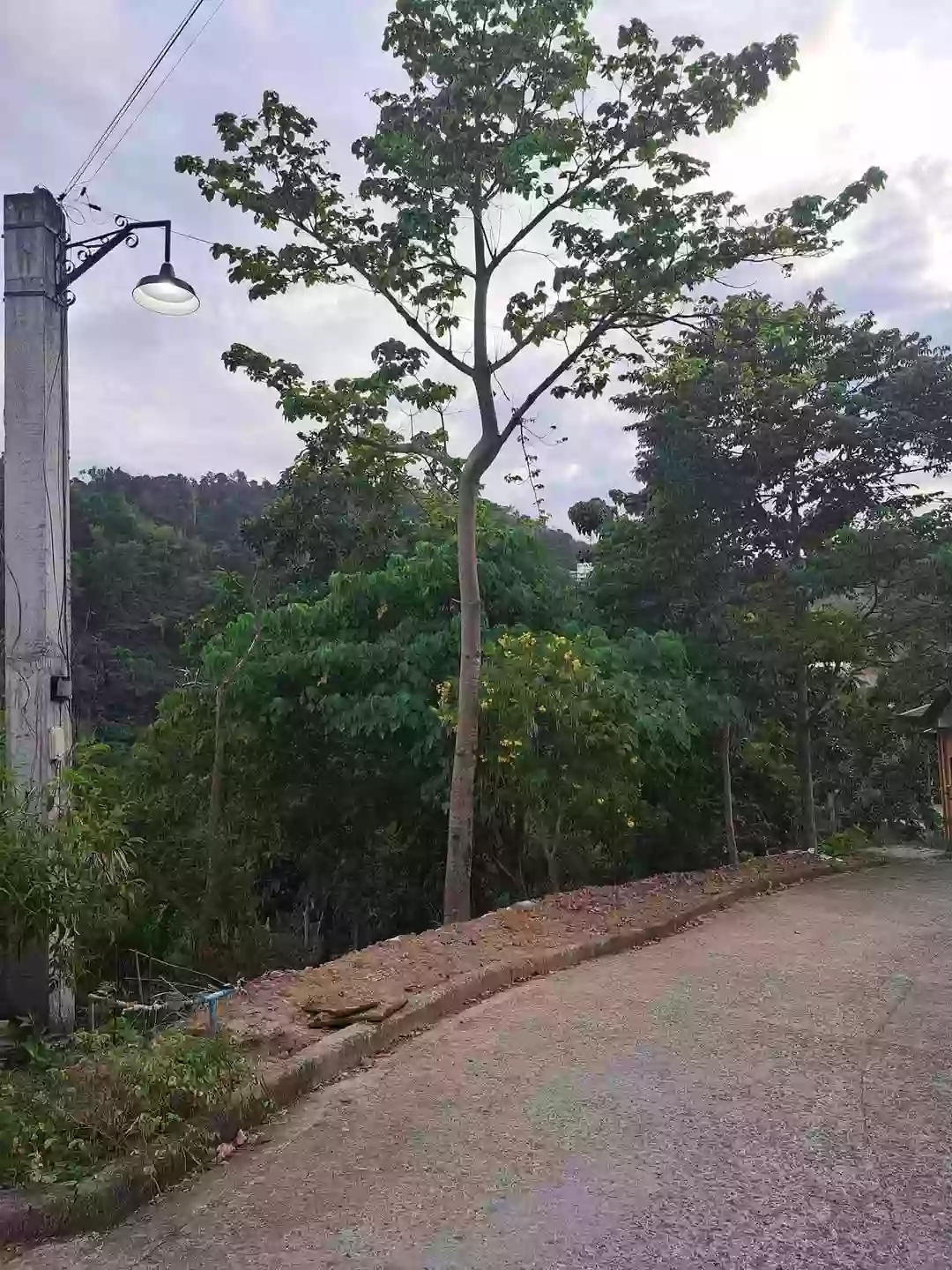 Overlooking Mountain City View Lot in Busay, Cebu City