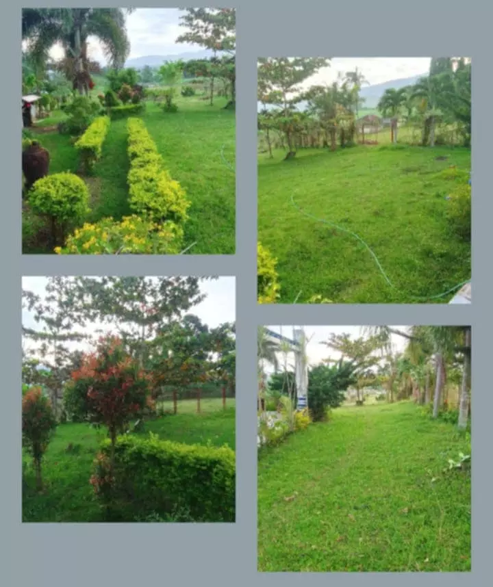 Valle Rosa Garden — Residential Lot in Bago City, Negros Occidental, Philippines — Photo 4