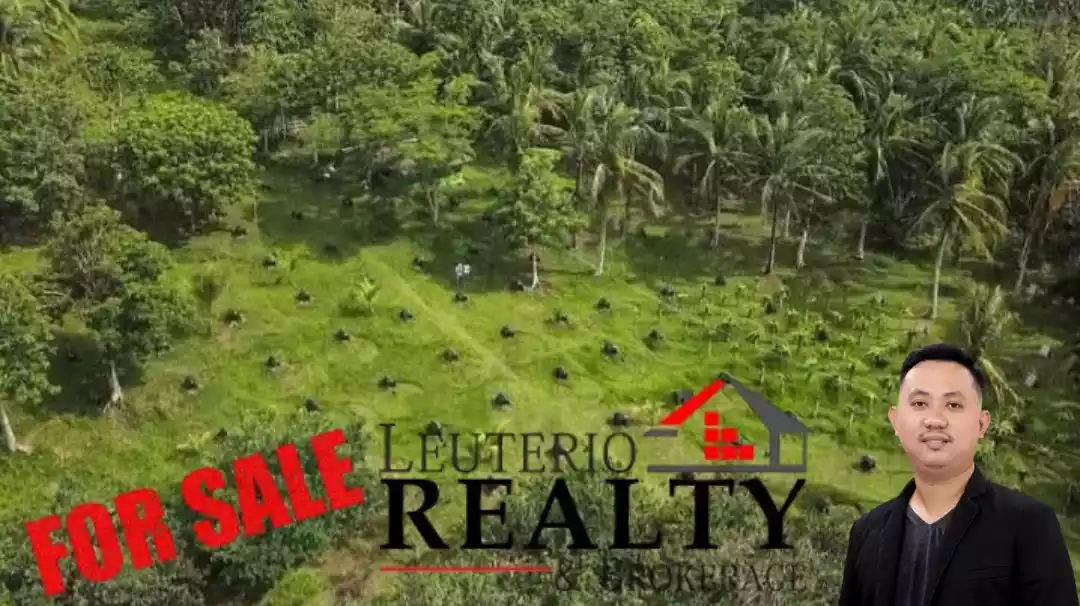 20,000 SQ.M. (Agricultural/Residential/Industrial) LOT — Agricultural Lot in Camarines Sur, Philippines — Photo 5