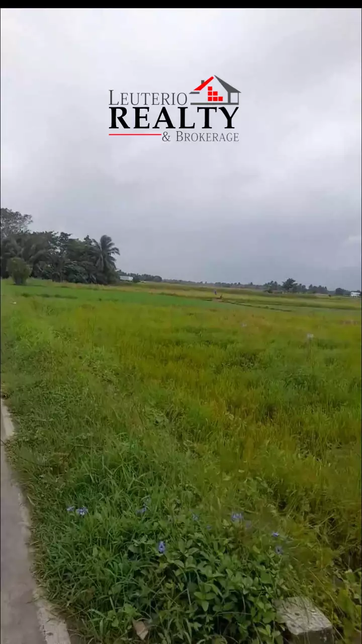 Agri Farm for Sale in Minalabac Camarines Sur — Agricultural Lot in Camarines Sur, Philippines — Photo 4