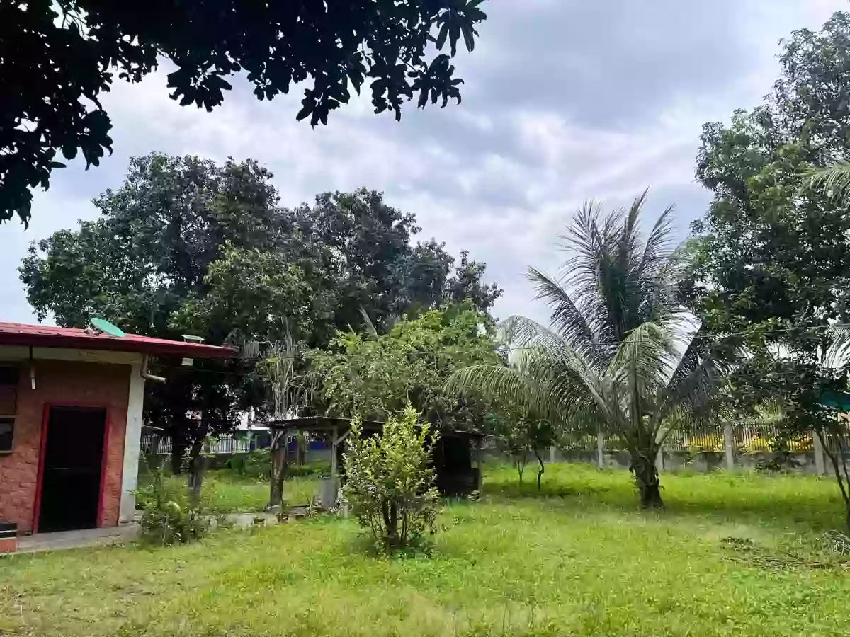LOT FOR SALE IN BATAAN, DIGOS CITY (LOCATED NEAR GOVERNMENT ESTABLISHMENTS) — Commercial Lot in Digos City, Davao del Sur, Philippines — Photo 5