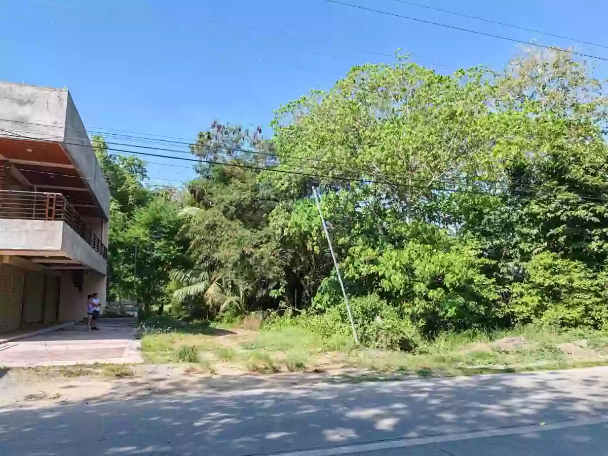 GenSan Lot for Sale at Barangay Ligaya, General Santos City — Agricultural Lot in South Cotabato, Philippines — Photo 4