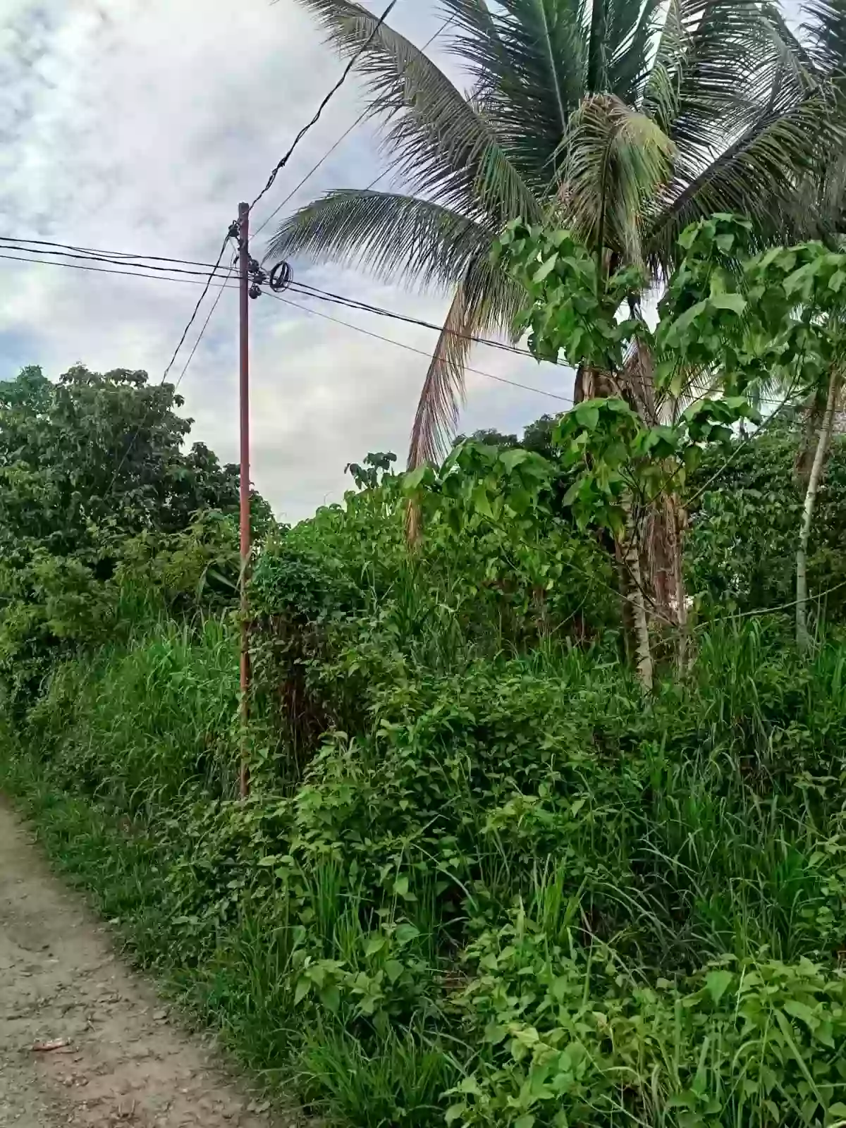 Lot for saler — Residential Lot in Negros Oriental, Philippines — Photo 5