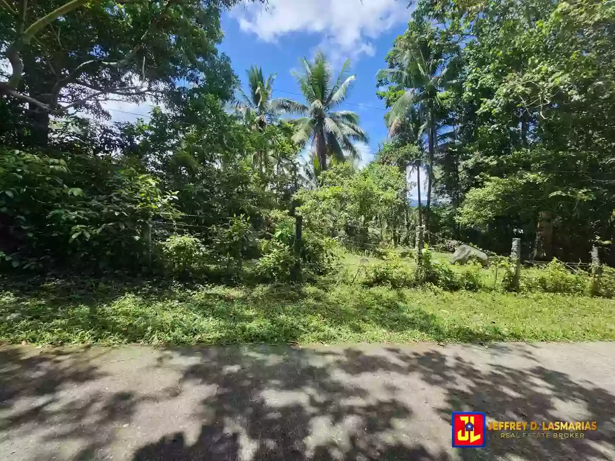 Rush Sale! 506sqm Lot in Mampas, Valencia! [available]