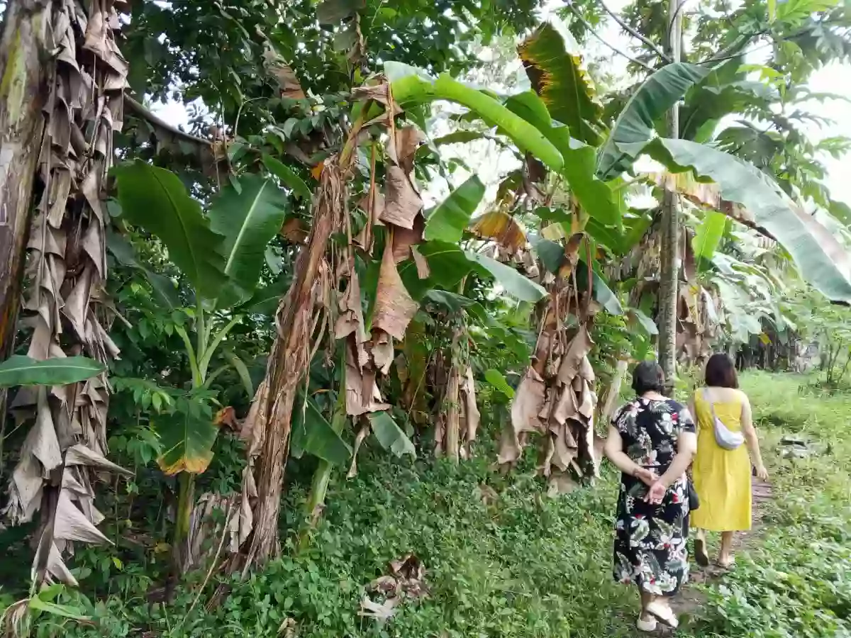 Affordable Lot for Sale, Butuan City | 2 TITLED LOTS, 576 sqm each | Near Highway | Brgy. Sumilihon | Near Regatta Palm Subdivision — Industrial Lot in Butuan City, Agusan del Norte, Philippines — Photo 4