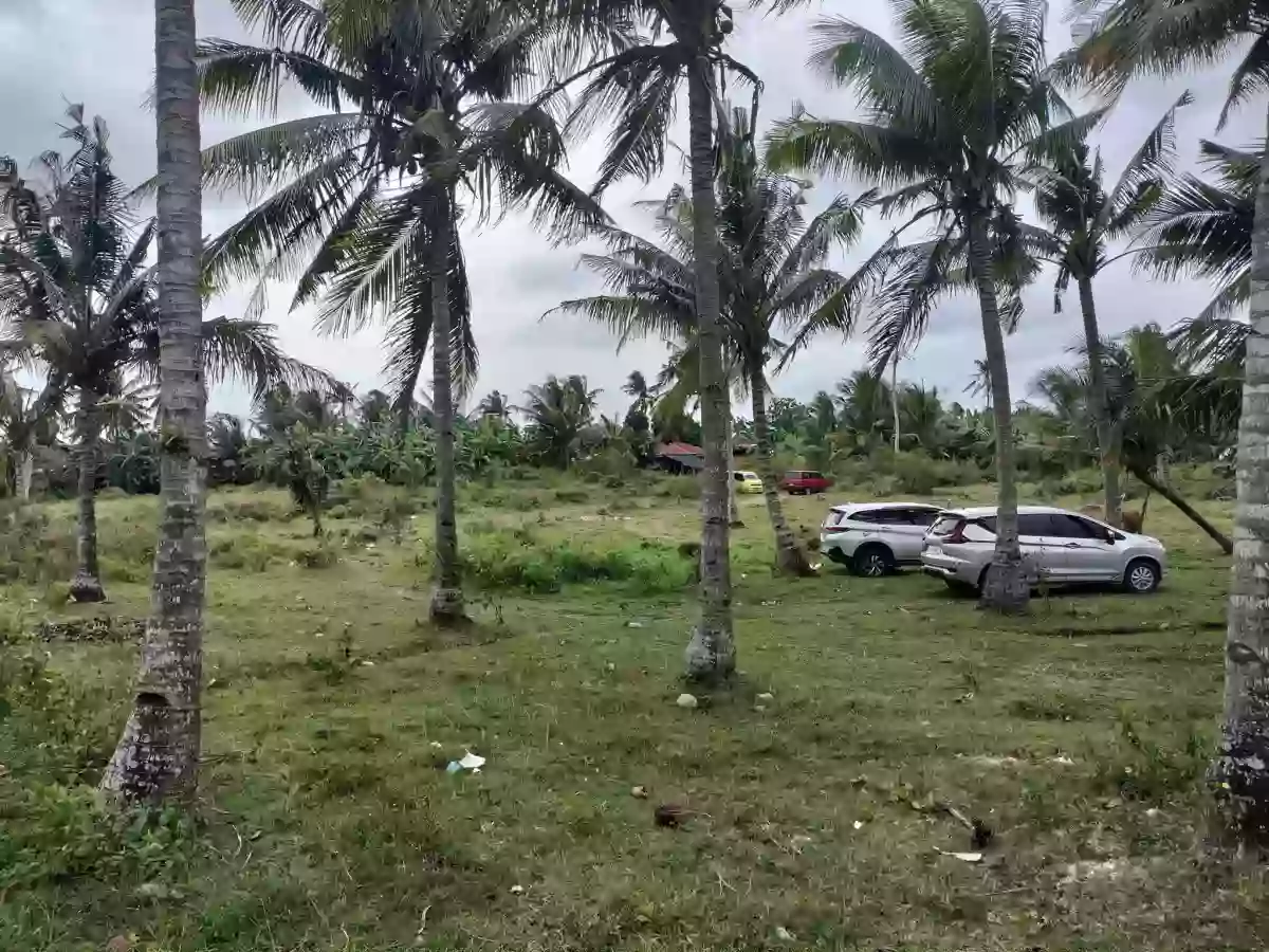 Farm Lot Along the Highway – Pinamungahan