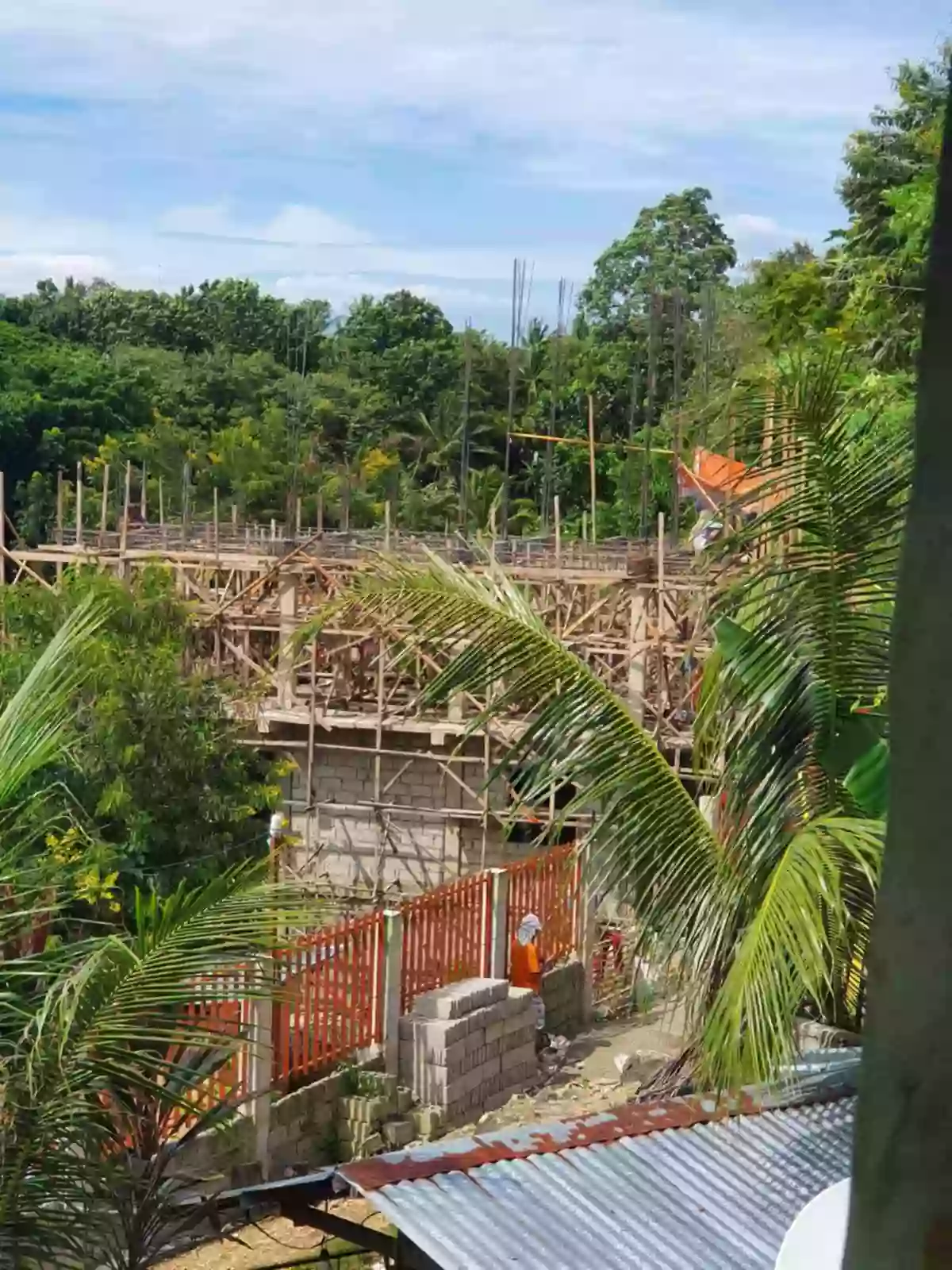 Lot for Sale in Tuburan, Cebu — Residential Lot in Tuburan, Cebu, Philippines — Photo 6