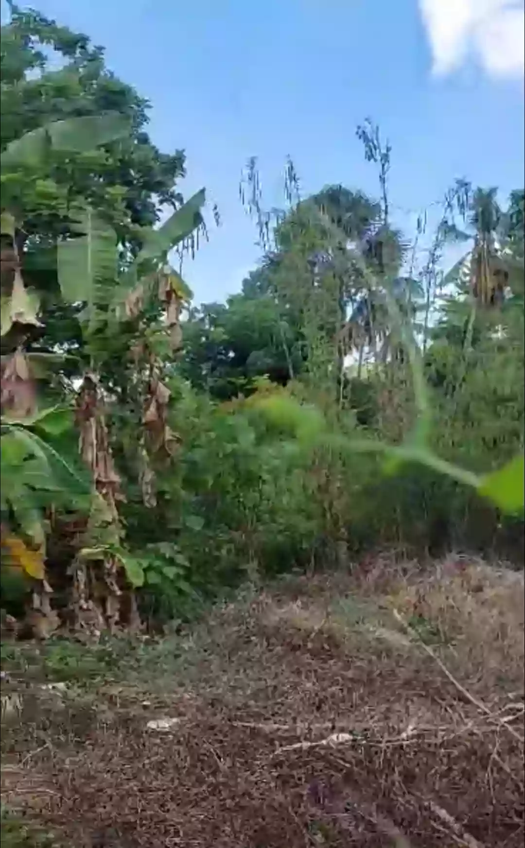 Residential or Commercial Lot — Residential Lot in Liloan, Cebu, Philippines — Photo 5