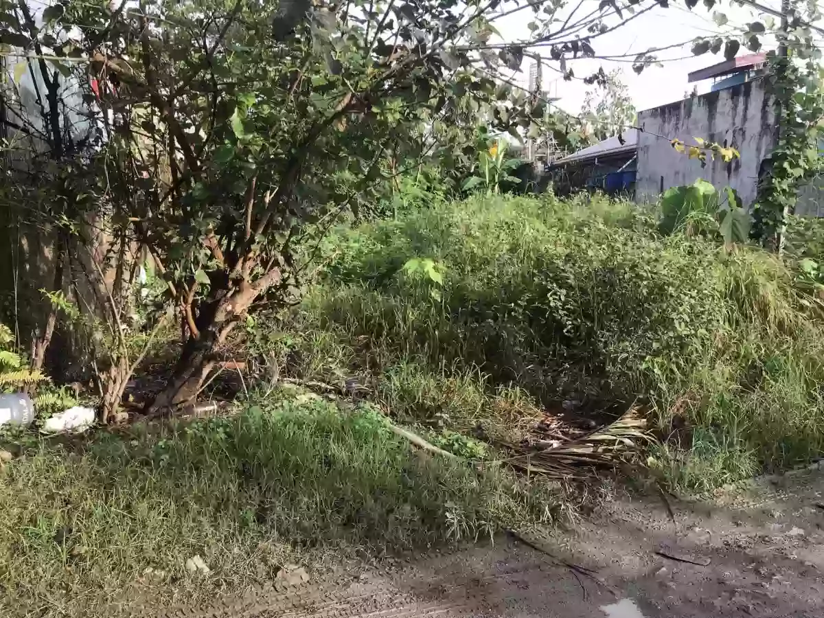 Lot for Sale in Minglanilla — Residential Lot in Lower Tunghaan St, Tunghaan Minglanilla, Minglanilla — Photo 3
