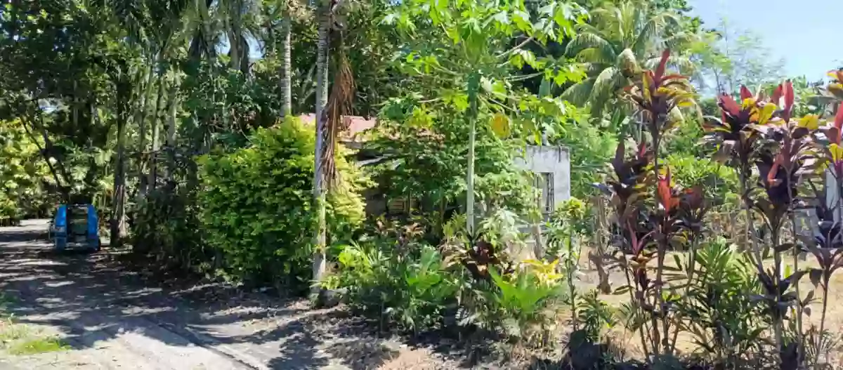 HOUSE AND LOT FOR SALE IN PUROK 13 KATANGGAWAN — Residential Lot in General Santos City, South Cotabato, Philippines — Photo 5