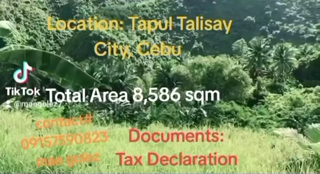 Sacrifice Sale FARM LOT, Tapul, Talisay City